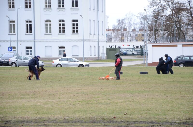 Suwalski policjant najlepszym przewodnikiem psa służbowego