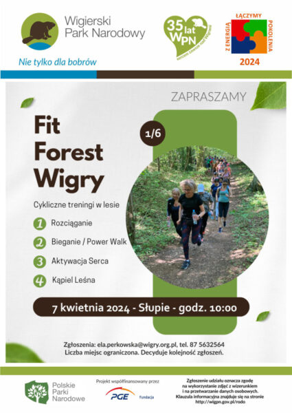 WPN: Fit Forest Wigry 1/6