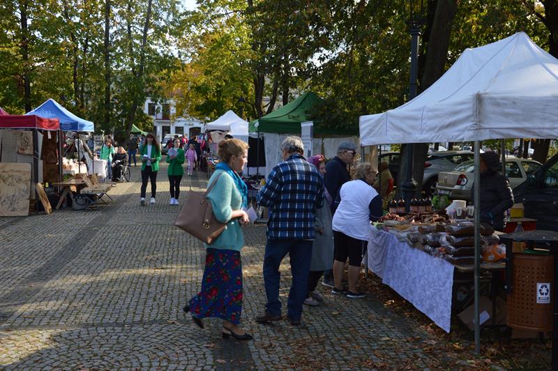 Festiwal Ekologiczny Eko Wizja 4