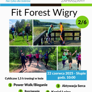 WPN zaprasza na Fit Forest Wigry