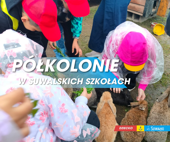 Półkolonie letnie w suwalskich szkołach podstawowych - posumowanie