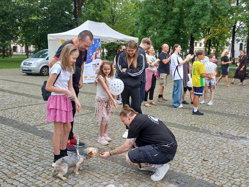 VIII edycja Wystawy Psów Nierasowych