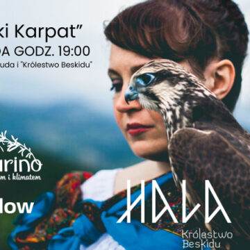 Koncert