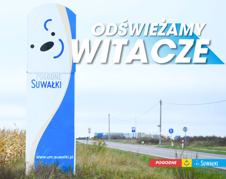 Oceń projekty 7 nowych witaczy!
