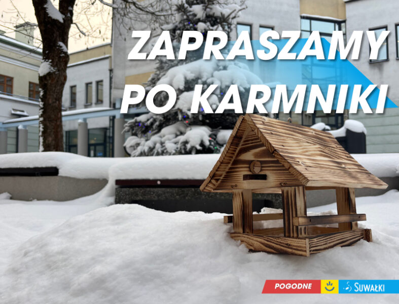 Karmniki dla ptaków