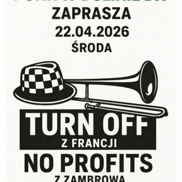 Punk w Dolinie i No Profits