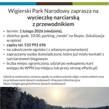 Wigierski Park Narodowy zaprasza na wycieczkę narciarską z przewodnikiem