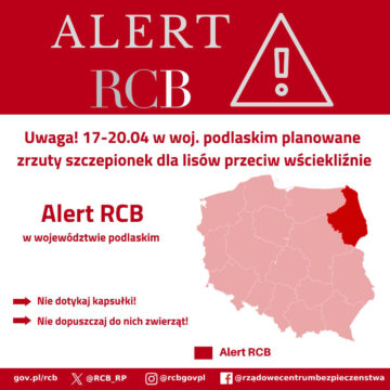 Alert! Zrzuty szczepionek dla lisów przeciw wściekliźnie