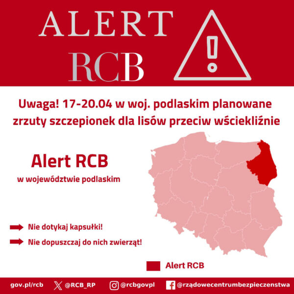 Alert! Zrzuty szczepionek dla lisów przeciw wściekliźnie