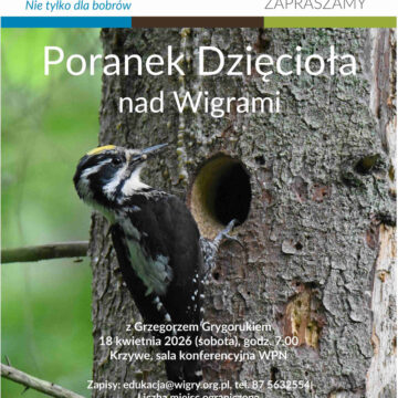 WPN zaprasza na Poranek Dzięcioła nad Wigrami