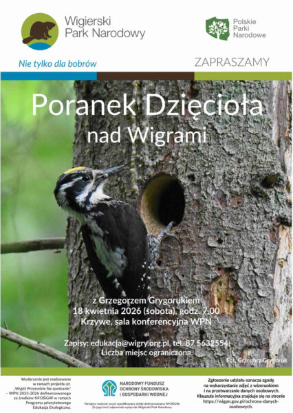 WPN zaprasza na Poranek Dzięcioła nad Wigrami
