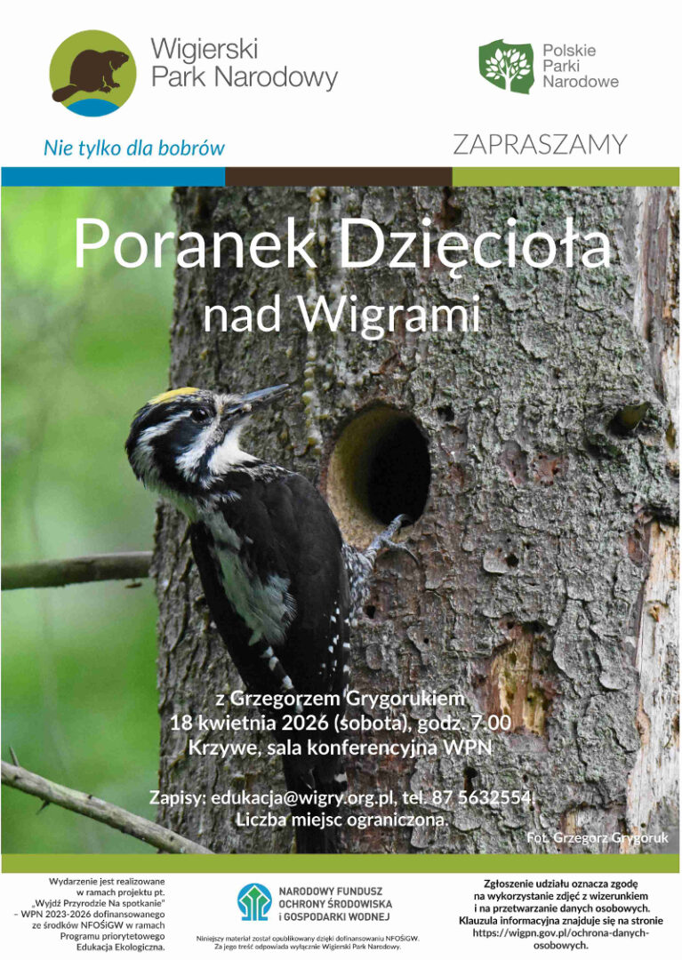 WPN zaprasza na Poranek Dzięcioła nad Wigrami