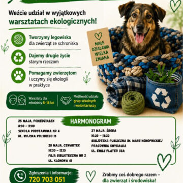 Drugie życie rzeczy - legowiska z recyklingu dla zwierząt