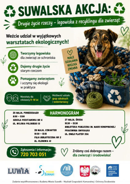 Drugie życie rzeczy - legowiska z recyklingu dla zwierząt