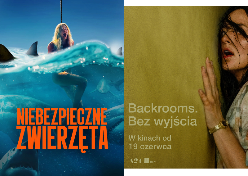 HORROROWA NOC FILMOWA w Cinema Lumiere