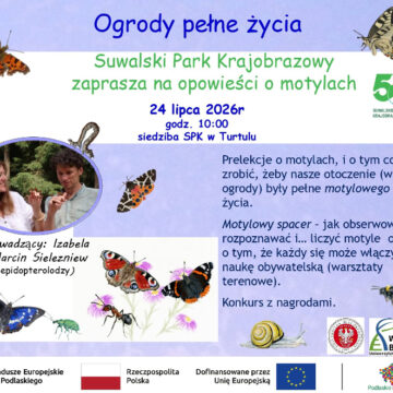Zanurz się w fascynującym świecie motyli!