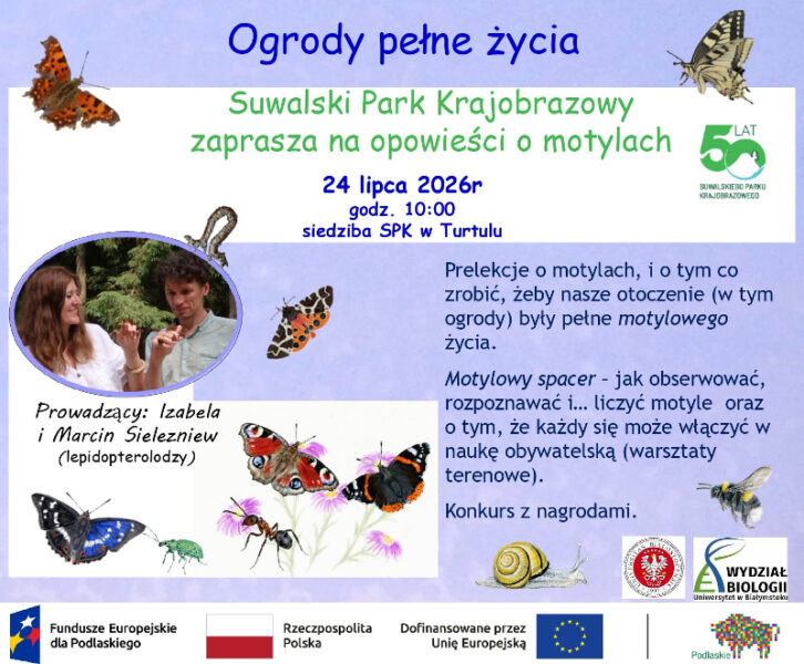 Zanurz się w fascynującym świecie motyli!